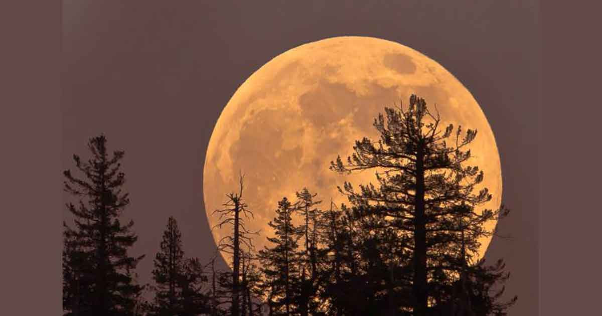 বছরের শেষ ‘কোল্ড সুপারমুন’ দেখা যাবে আজ