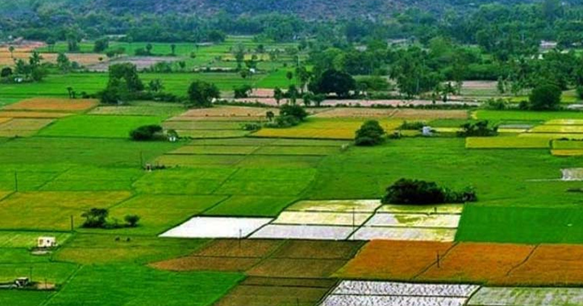 এবার বাতিল হচ্ছে ৭ খতিয়ান, জমির মালিকানা নিয়ে চিন্তা শেষ