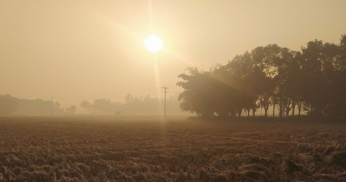 আগামী ৫ দিন যেমন থাকতে পারে তাপমাত্রা