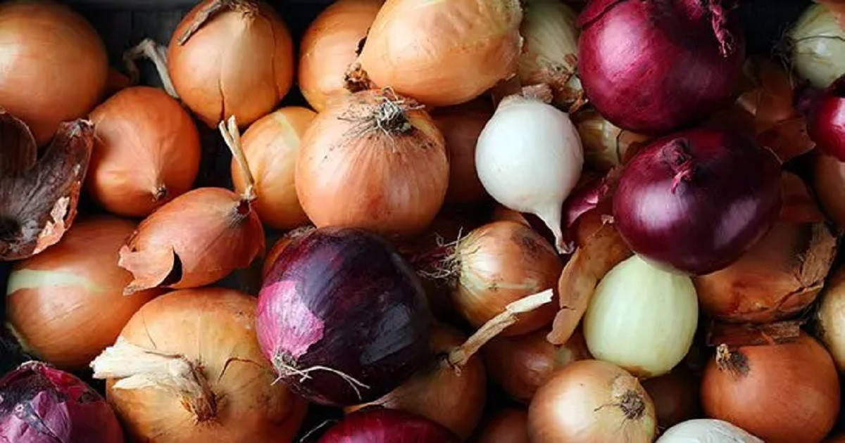 আজ থেকে সীমিত আকারে পেঁয়াজ আমদানির অনুমতি