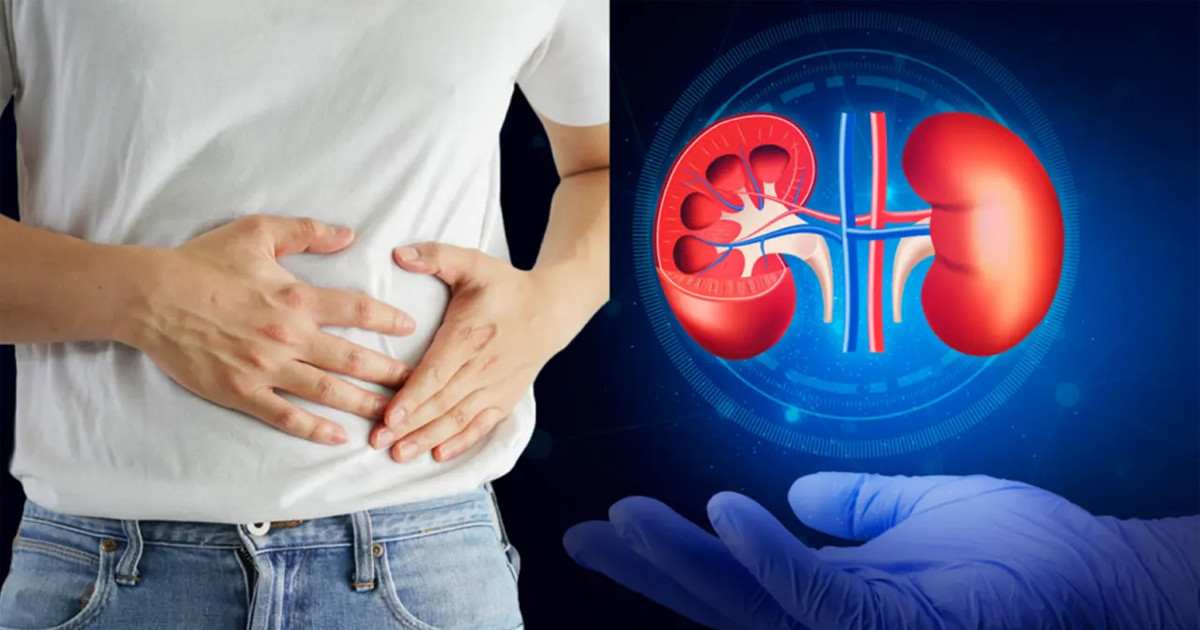 কিডনি সমস্যার নতুন কারণ খুঁজে পেলেন গবেষকরা