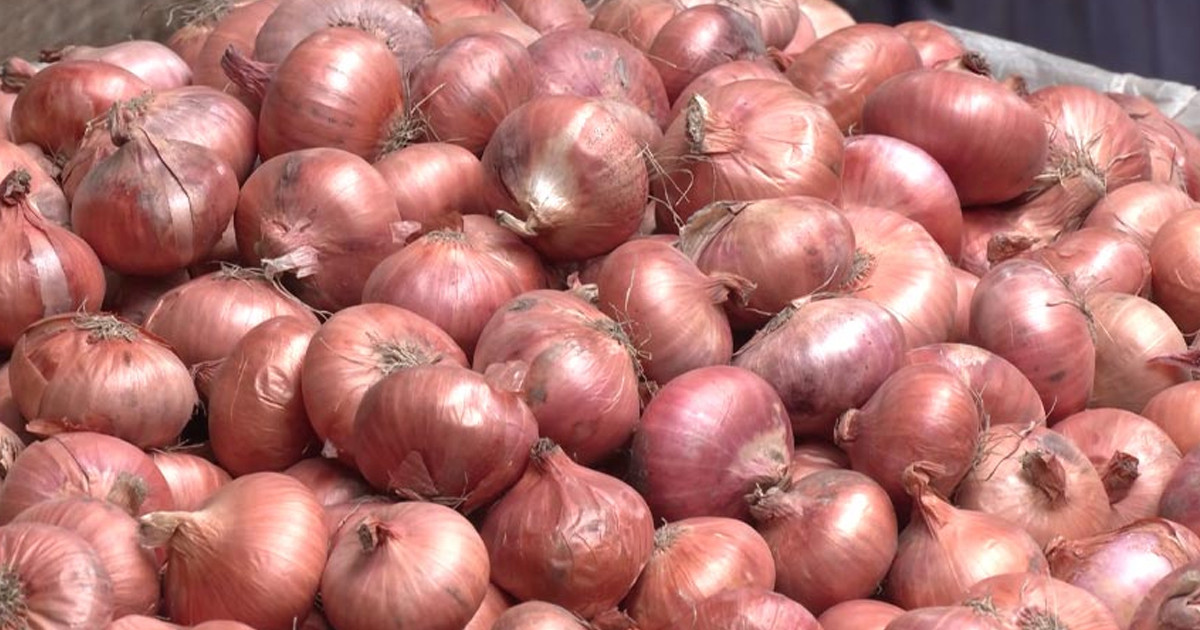 পেঁয়াজের দাম এক লাফে প্রতিকেজিতে কমলো ৩০ টাকা!