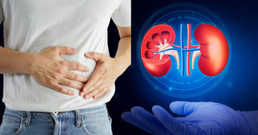 কিডনি সমস্যার নতুন কারণ খুঁজে পেলেন গবেষকরা