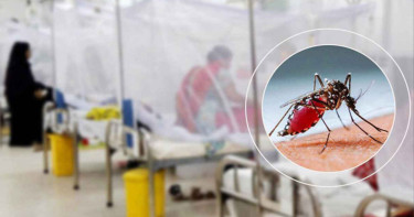 একদিনে ডেঙ্গুতে মৃত্যু ২, হাসপাতালে ভর্তি আরও ৫১৬