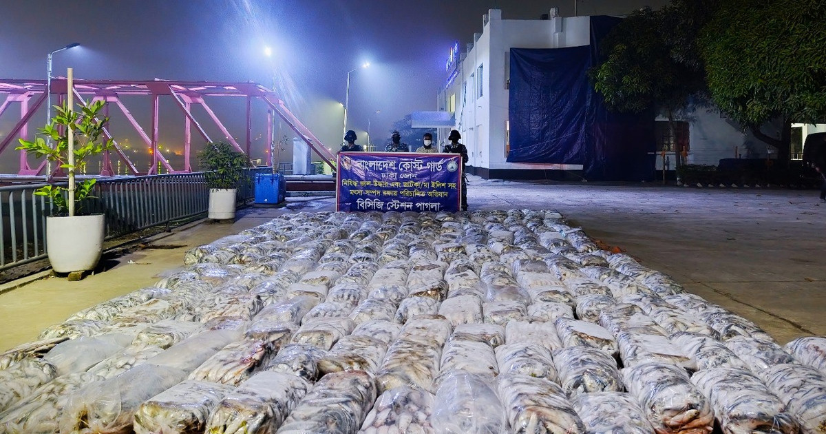 নারায়ণগঞ্জে কোস্টগার্ডের অভিযানে ৭০ লাখ টাকা জাটকা জব্দ