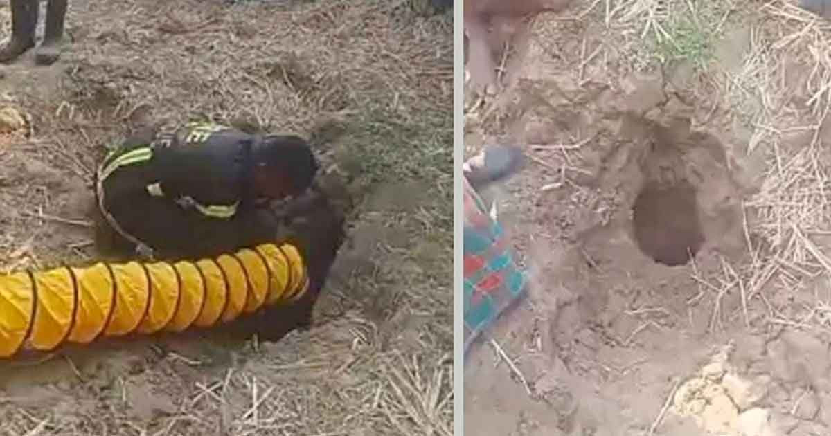 ৩৫ ফুট গভীরে আটকা দুই বছরের শিশু সাজিদ, চলছে উদ্ধার অভিযান