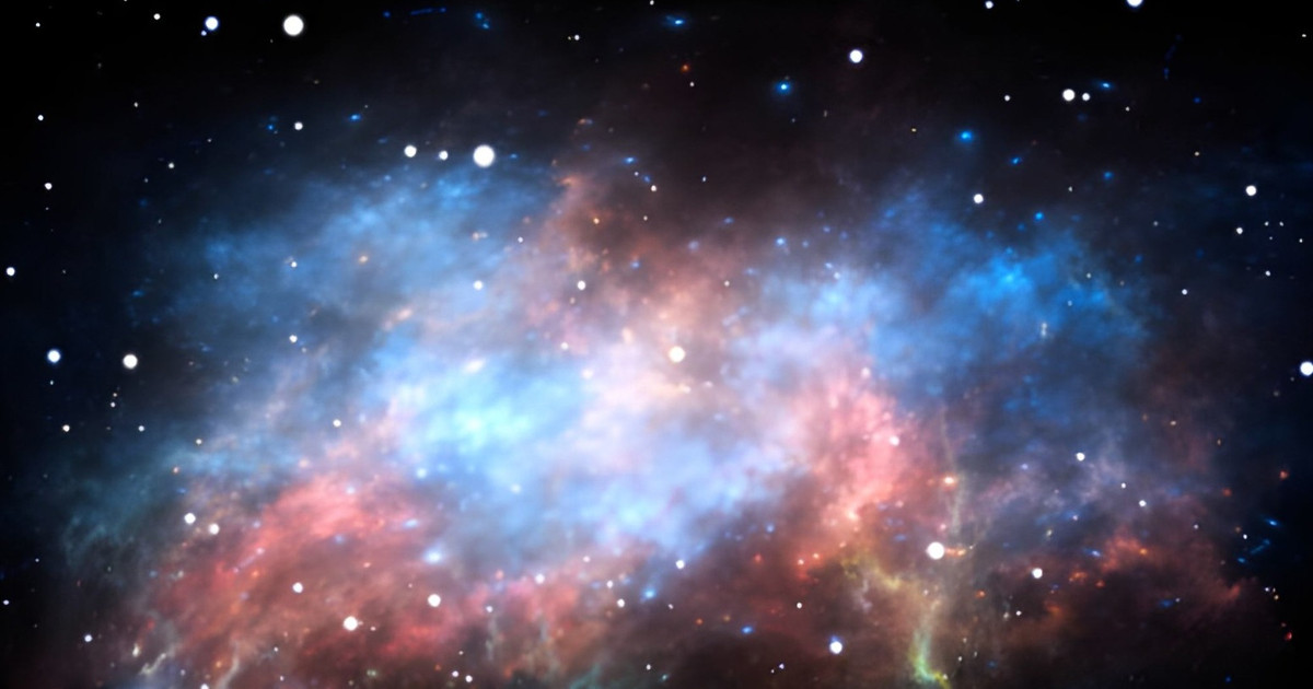 ইসলামী বিধানে ওহি ও যুক্তির সমন্বয়