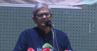 পরাজিত শক্তি দেশকে অস্থিতিশীল করার ষড়যন্ত্র করছে: মির্জা ফখরুল