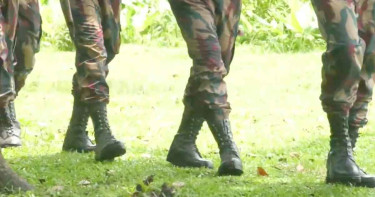 হাদির ওপর হামলা, মহেশপুর সীমান্তে সর্বোচ্চ সতর্কতা জারি