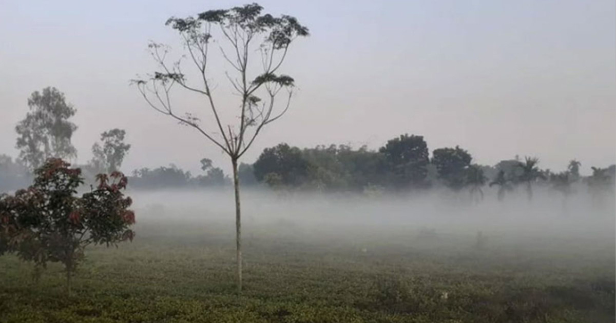টানা পাঁচ দিন ধরে শৈত্যপ্রবাহে কাঁপছে পঞ্চগড়