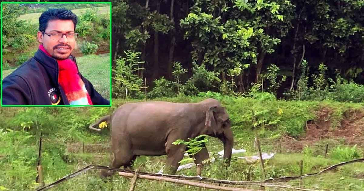 বনের ভেতর ভিডিও করতে গিয়ে বন্যহাতির পায়ে পিষ্ট হয়ে কনটেন্ট ক্রিয়েটর নিহত