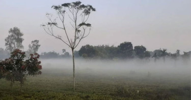 টানা পাঁচ দিন ধরে শৈত্যপ্রবাহে কাঁপছে পঞ্চগড়