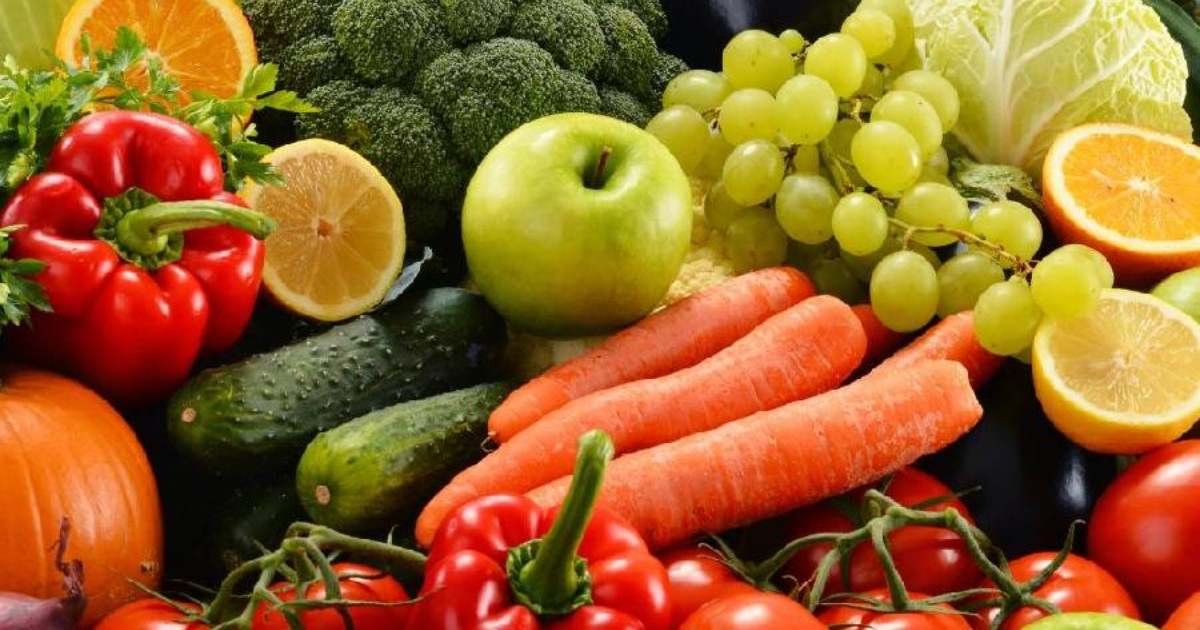 তীব্র শীতেও শরীরকে সতেজ রাখবে যেসব খাবার