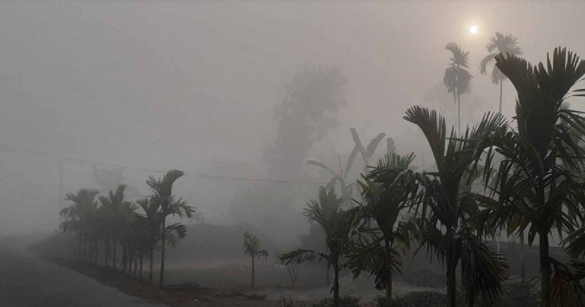 আজ দেশের আবহাওয়া কেমন থাকবে, জানালো অধিদপ্তর