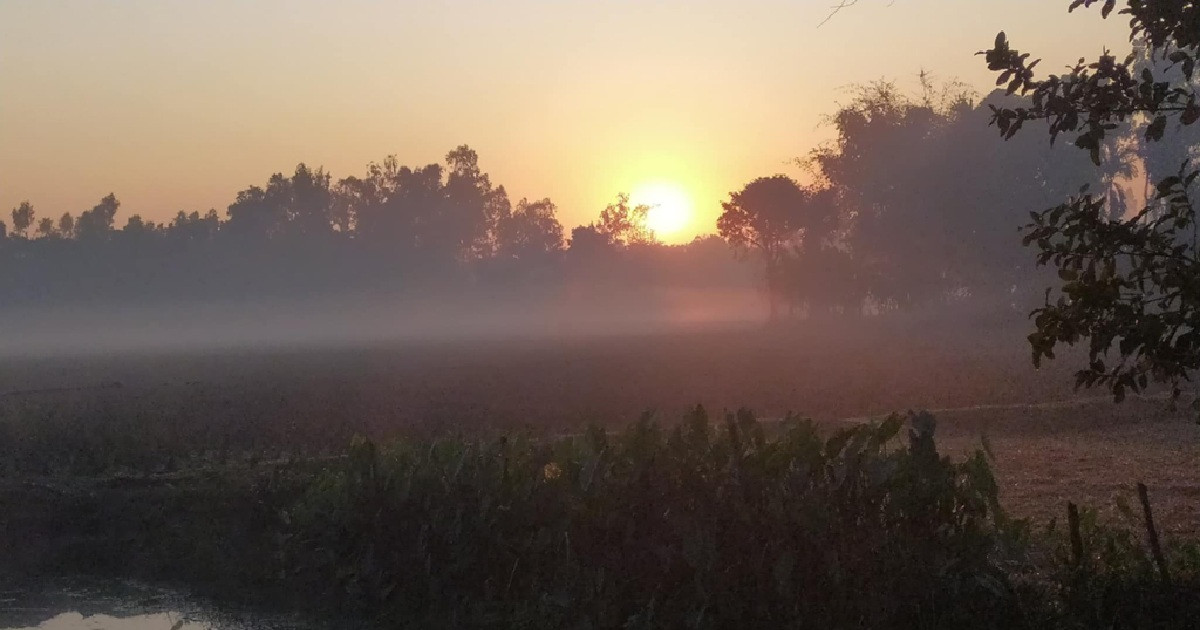 পাঁচদিন পর কেমন থাকবে তাপমাত্রা, জানাল আবহাওয়া অফিস