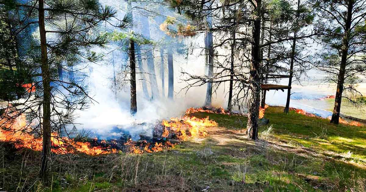 মানবজীবনে বদনজরের প্রভাব