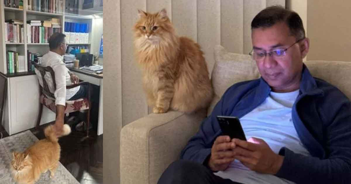 তারেক রহমানের সঙ্গে দেশে ফিরছে পোষা বিড়াল 'জেবু'