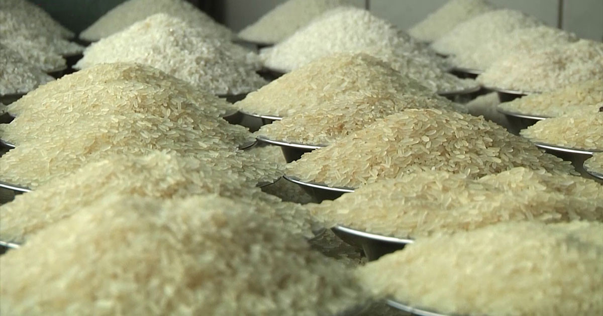 ভারত-পাকিস্তান থেকে আসবে ১ লাখ টন চাল, ব্যয় কত?