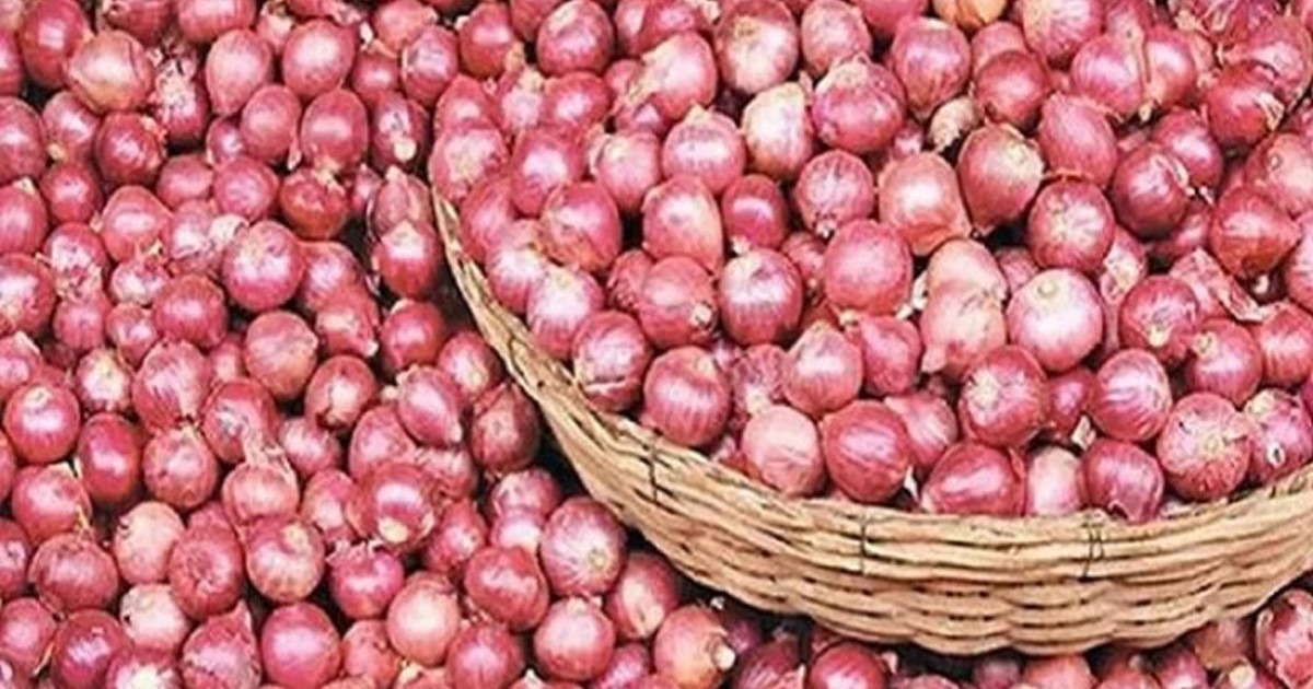 পেঁয়াজের দাম নিয়ে বড় সুখবর