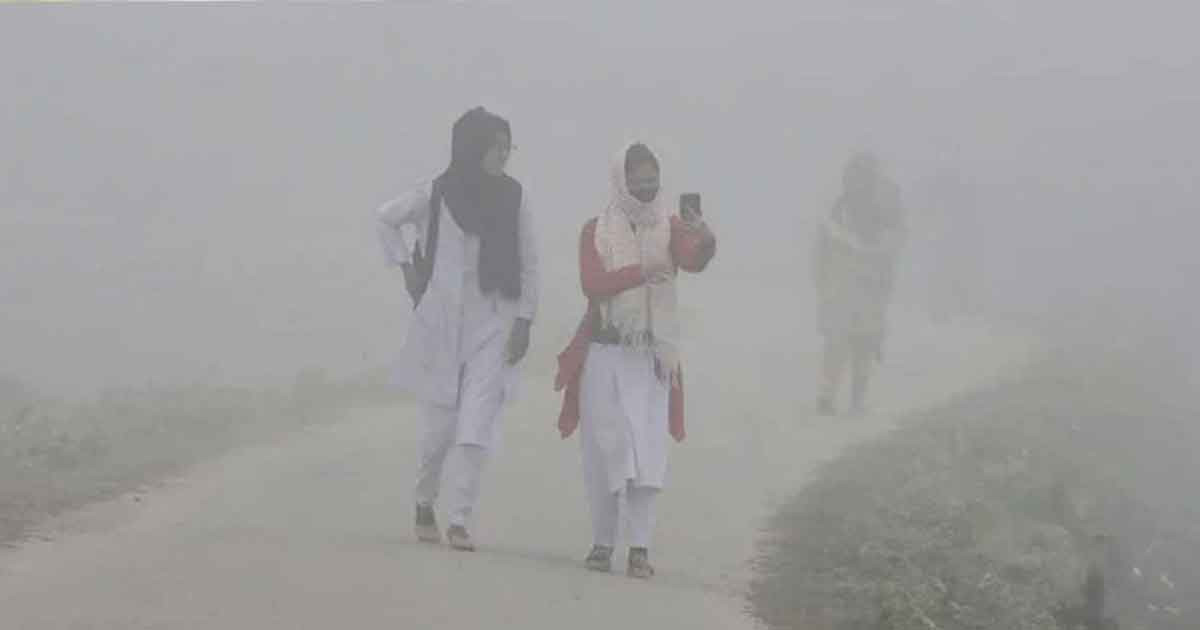 আগামী ৫ দিন দেশে শীত ও কুয়াশা কেমন থাকবে জানালো আবহাওয়া অফিস