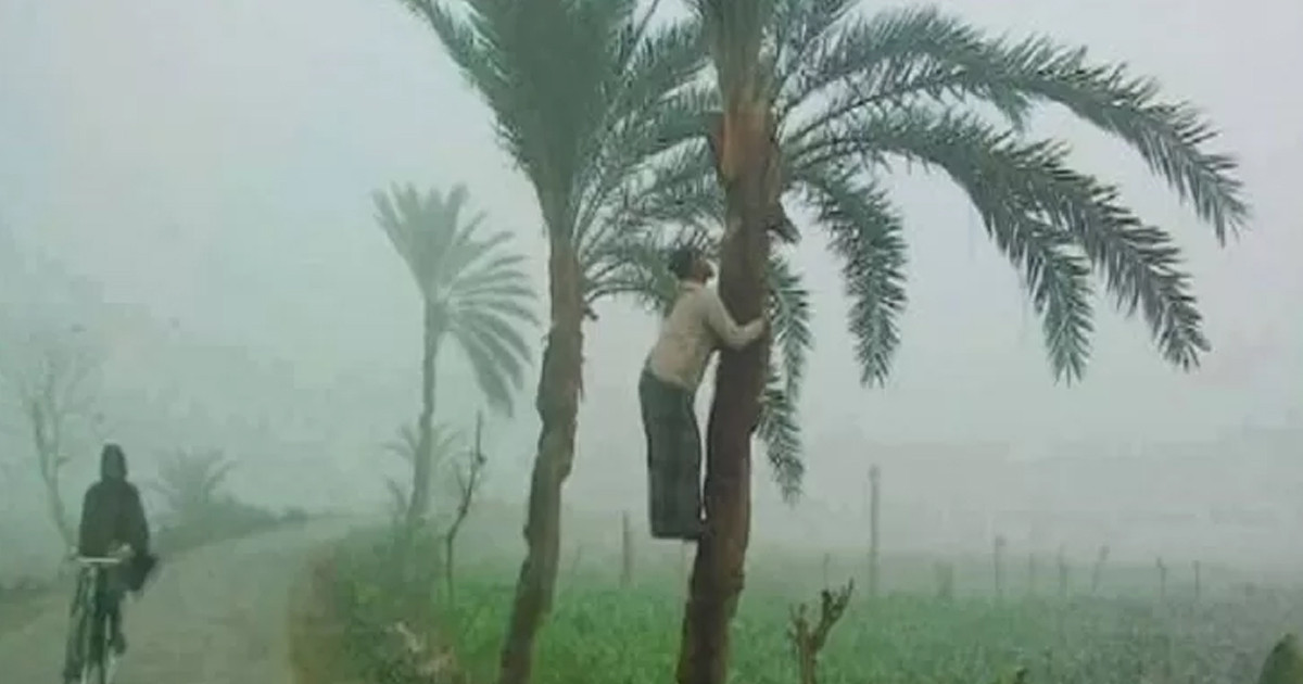 আরও কমবে তাপমাত্রা, যা বলছে আবহাওয়া অফিস