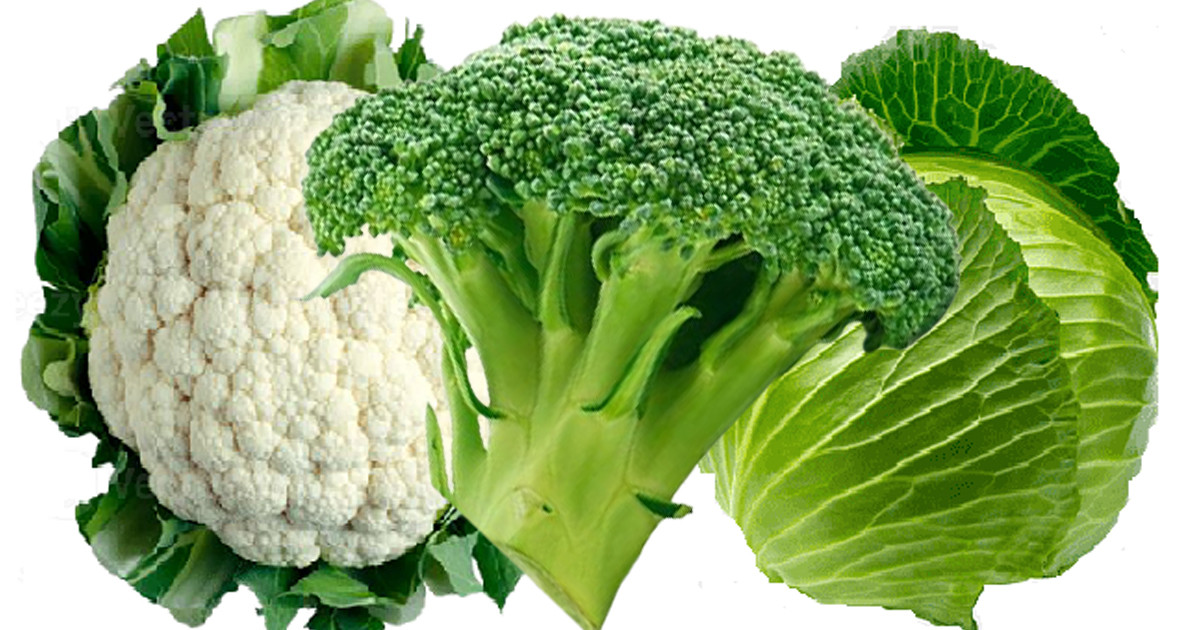 ভুলেও যারা ফুলকপি, বাঁধাকপি ও ব্রকলি খাবেন না