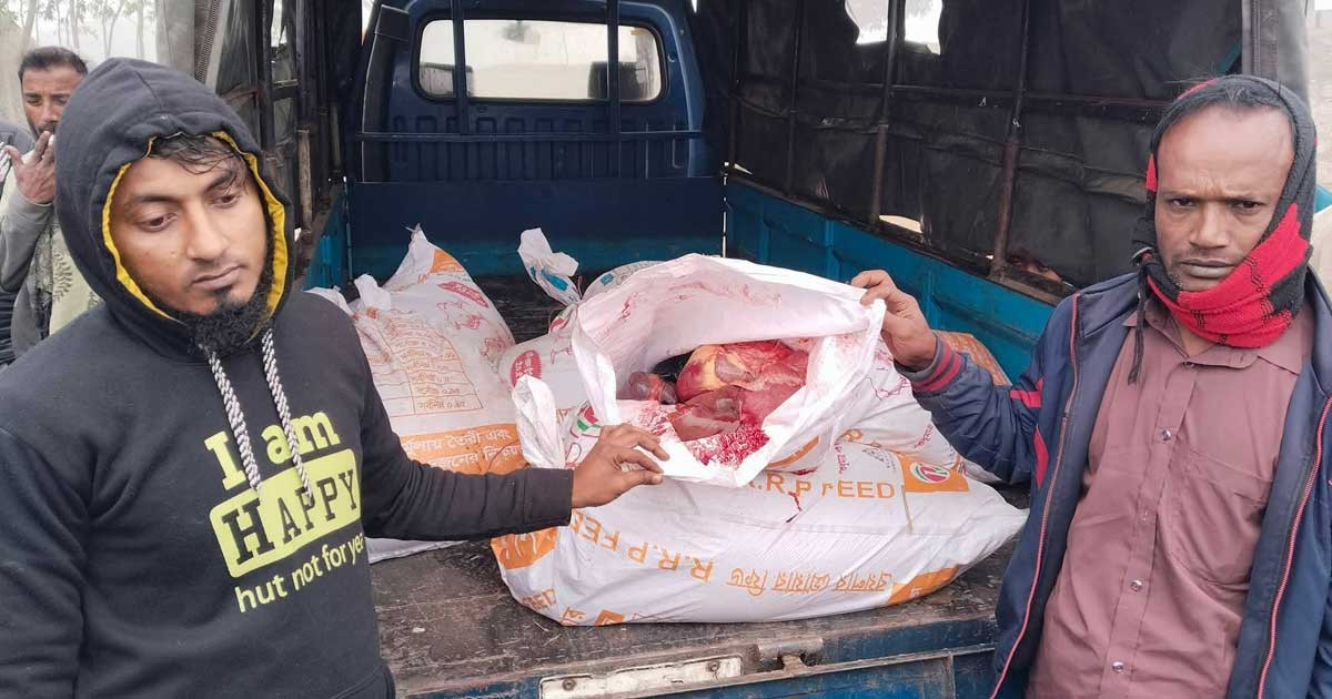 ঘোড়ার মাংস বিক্রেতাকে অর্থদণ্ড, মাংস পুঁতে ফেলা হলো মাটিতে