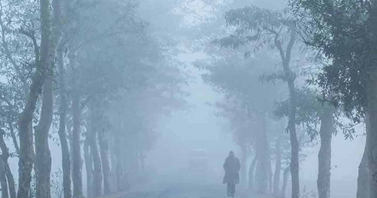 আগামী ৫ দিন শীত-কুয়াশা নিয়ে যে বার্তা দিল আবহাওয়া অফিস