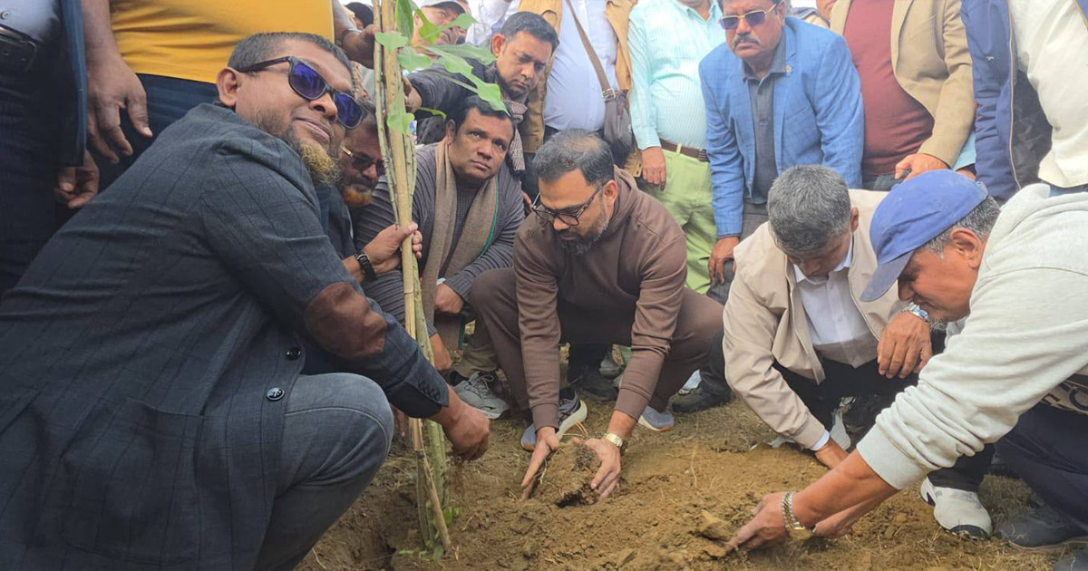 ৩০০ ফিটে সমাবেশের কারণে ক্ষতিগ্রস্ত এলাকায় বিএনপি’র বৃক্ষরোপণ