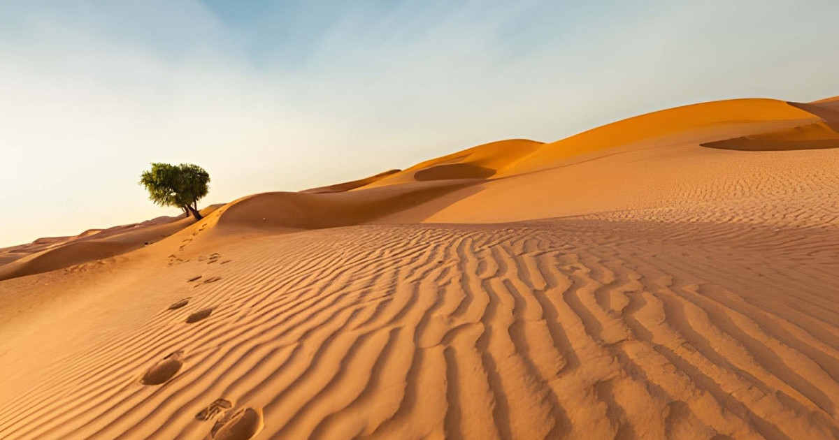 আলী (রা.)-এর ভাই যেভাবে মুসলিম হন
