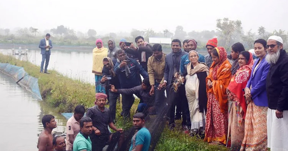 চিংড়ি উৎপাদন বাড়ানোর ওপর গুরুত্বারোপ মৎস্য উপদেষ্টার