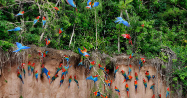প্রাণিজগত্ সম্পর্কে ইসলামের ভারসাম্যপূর্ণ দৃষ্টিভঙ্গি