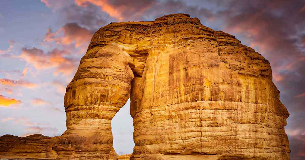 মরুভূমিতে আরব গল্পকারের হাজার বছরের যাত্রা