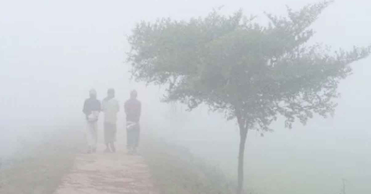 এমন শীতের দাপট কদিন থাকবে জানালো আবহাওয়া অফিস