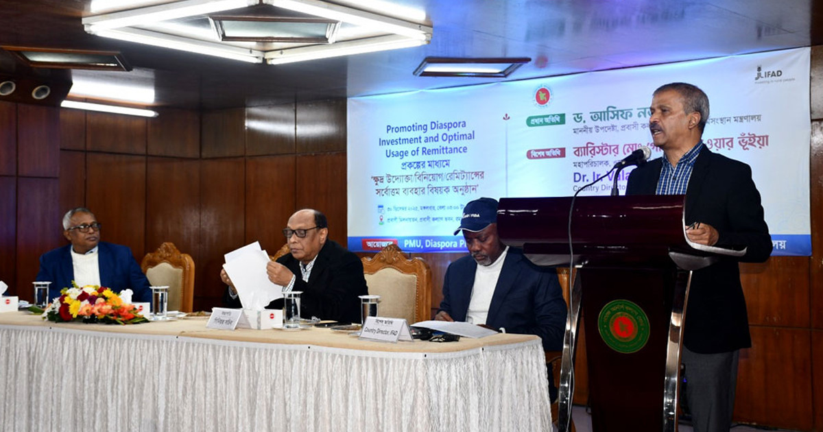 দেশের অর্থনীতির চালিকাশক্তি প্রবাসীরা: আসিফ নজরুল