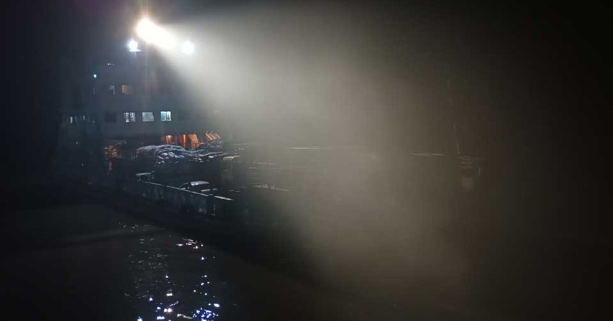 ঘন কুয়াশায় দৌলতদিয়া-পাটুরিয়া নৌরুটে ফেরি চলাচল বন্ধ