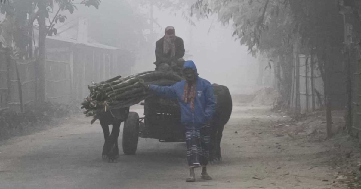 নতুন বছরের প্রথম দিনে শীত কেমন থাকবে?