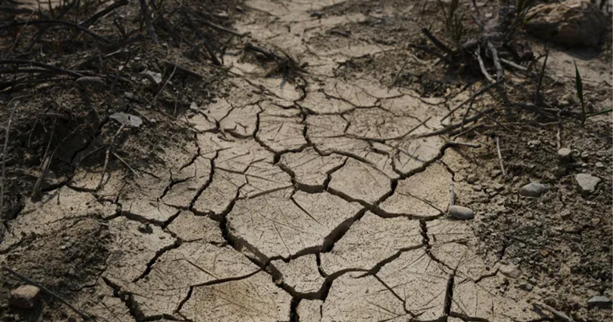 বছরের শেষদিনে ৬ মাত্রার ভূমিকম্পে কেঁপে উঠল জাপান