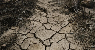 বছরের শেষদিনে ৬ মাত্রার ভূমিকম্পে কেঁপে উঠল জাপান