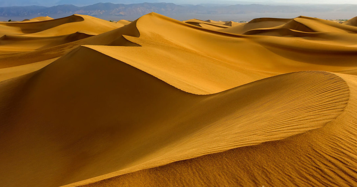 ওয়ালিদ ইবনে ওয়ালিদ (রা.)-বীরত্ব ও আত্মমর্যাদাবোধ