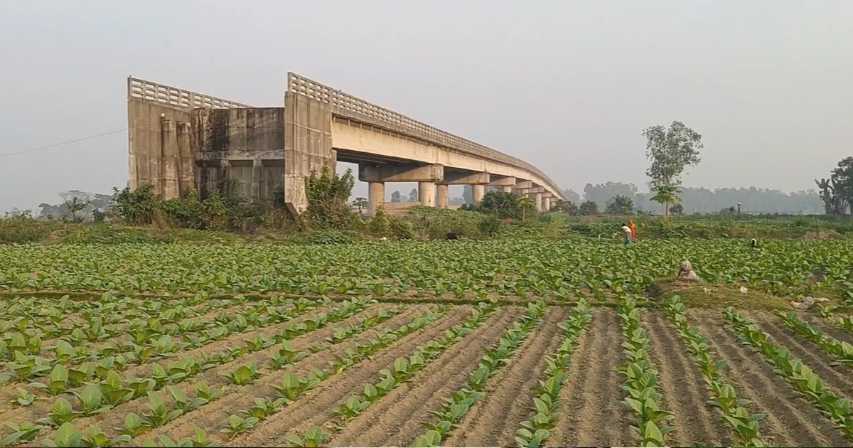 সংযোগ সড়ক নেই, কাজে আসছে না সেতু; দুর্ভোগে ৩০ গ্রামের মানুষ