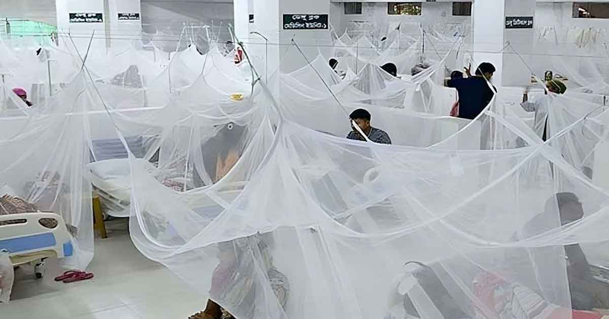 সারা দেশে ২৪ ঘণ্টায় ডেঙ্গুতে মৃত্যু নেই, হাসপাতালে ভর্তি ৫৩