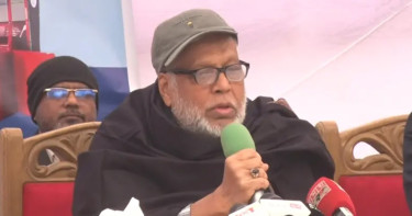 চাইলেই রাজধানী থেকে ব্যাটারিচালিত রিকশা তুলে দেওয়া যায় না: ফাওজুল কবির