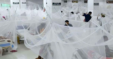 সারা দেশে ২৪ ঘণ্টায় ডেঙ্গুতে মৃত্যু নেই, হাসপাতালে ভর্তি ৫৩