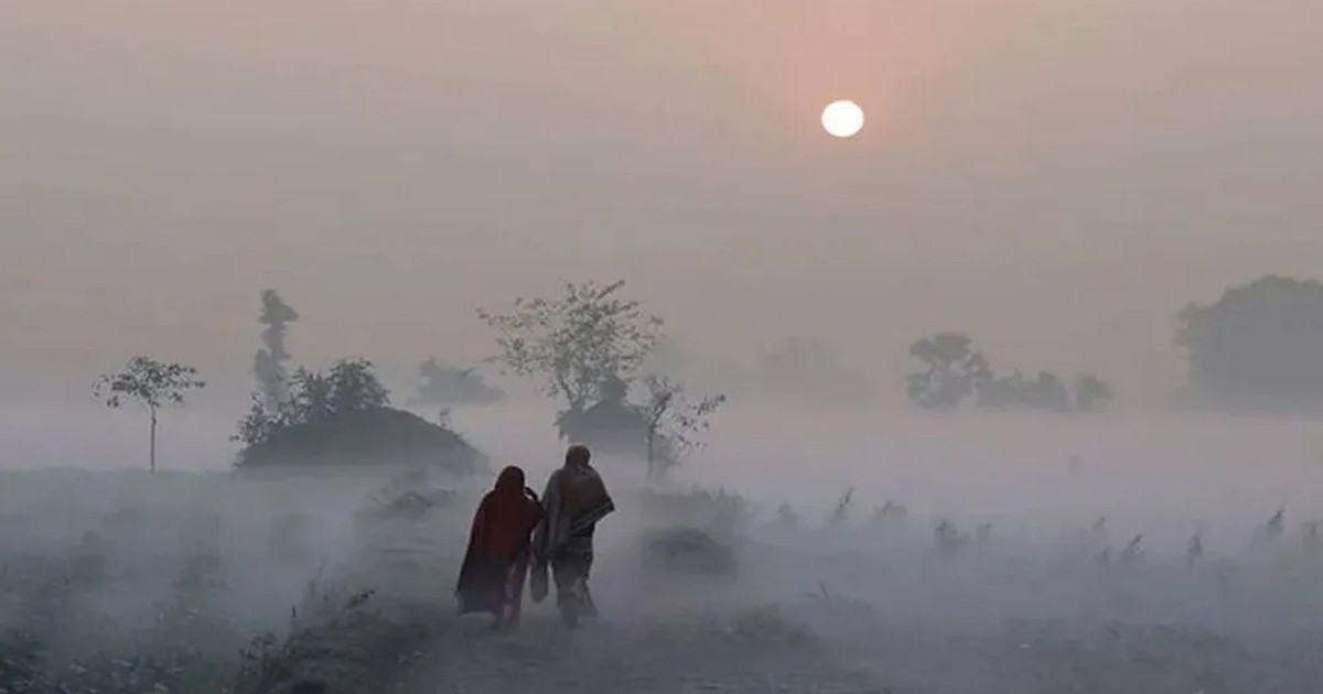 ঘন কুয়াশাসহ আরও শৈত্যপ্রবাহের পূর্বাভাস