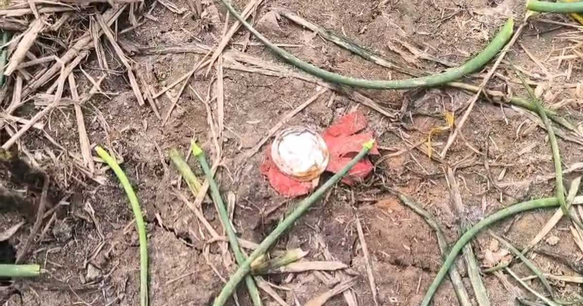 শরীয়তপুরে দফায় দফায় সংঘর্ষ, শতাধিক ককটেল বিস্ফোরণ