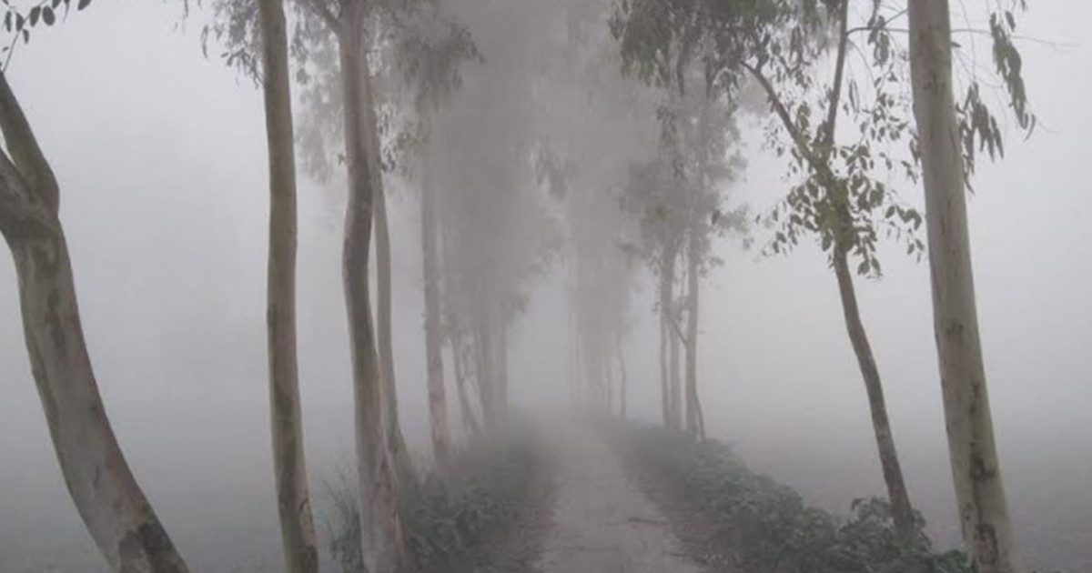 আসছে ৫টি শৈত্যপ্রবাহ, যত ডিগ্রিতে নামতে পারে তাপমাত্রা