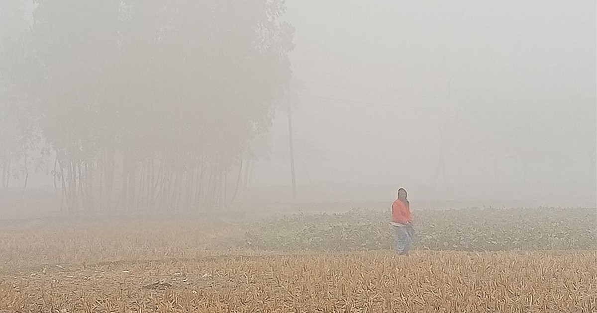 রাজশাহীতে তাপমাত্রা নামলো ৭ ডিগ্রিতে