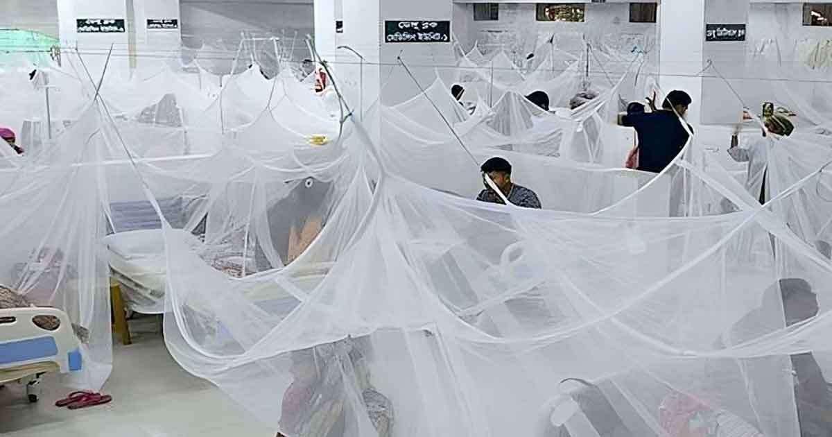 সারা দেশে ২৪ ঘণ্টায় ডেঙ্গুতে মৃত্যু নেই, হাসপাতালে ভর্তি ৫৫