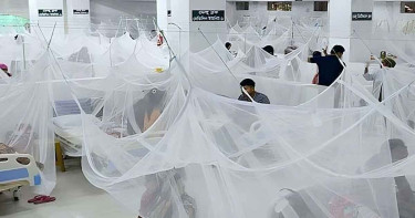 সারা দেশে ২৪ ঘণ্টায় ডেঙ্গুতে মৃত্যু নেই, হাসপাতালে ভর্তি ৫৫